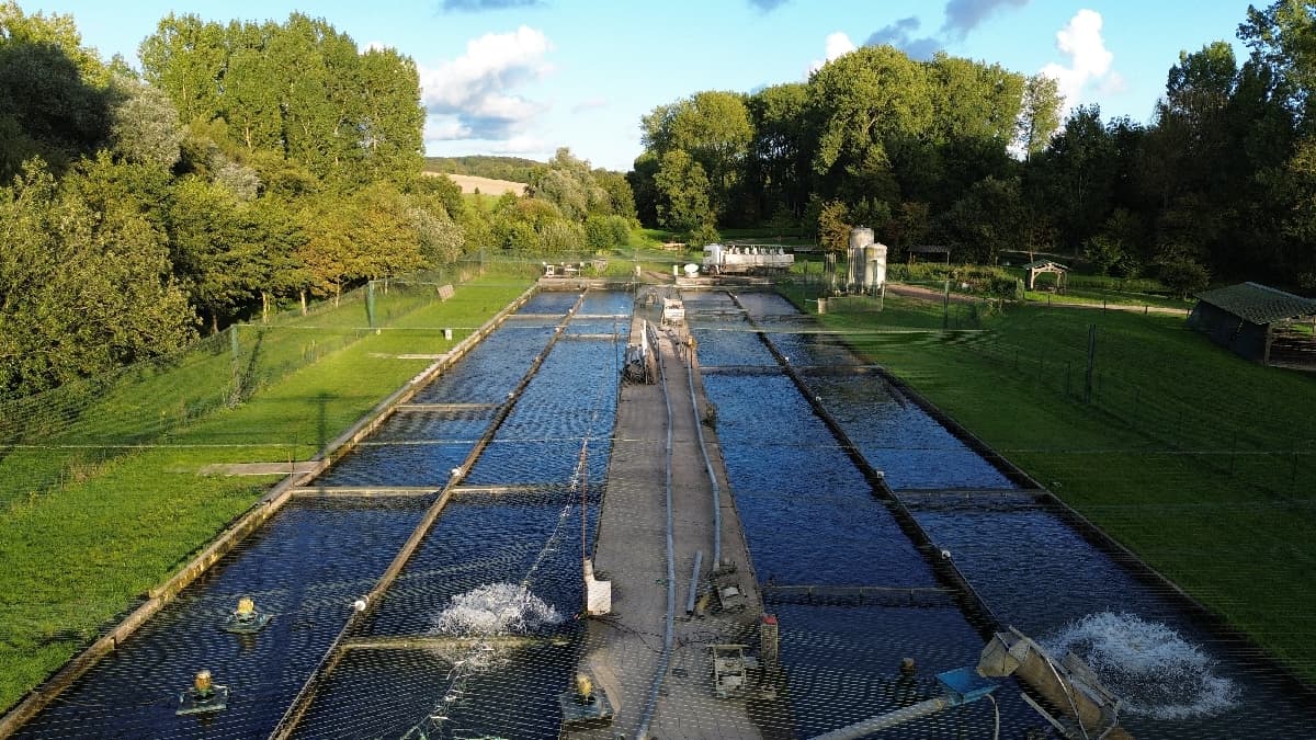 Pisciculteurs des Hauts-de-France - Piscicultures eau douce