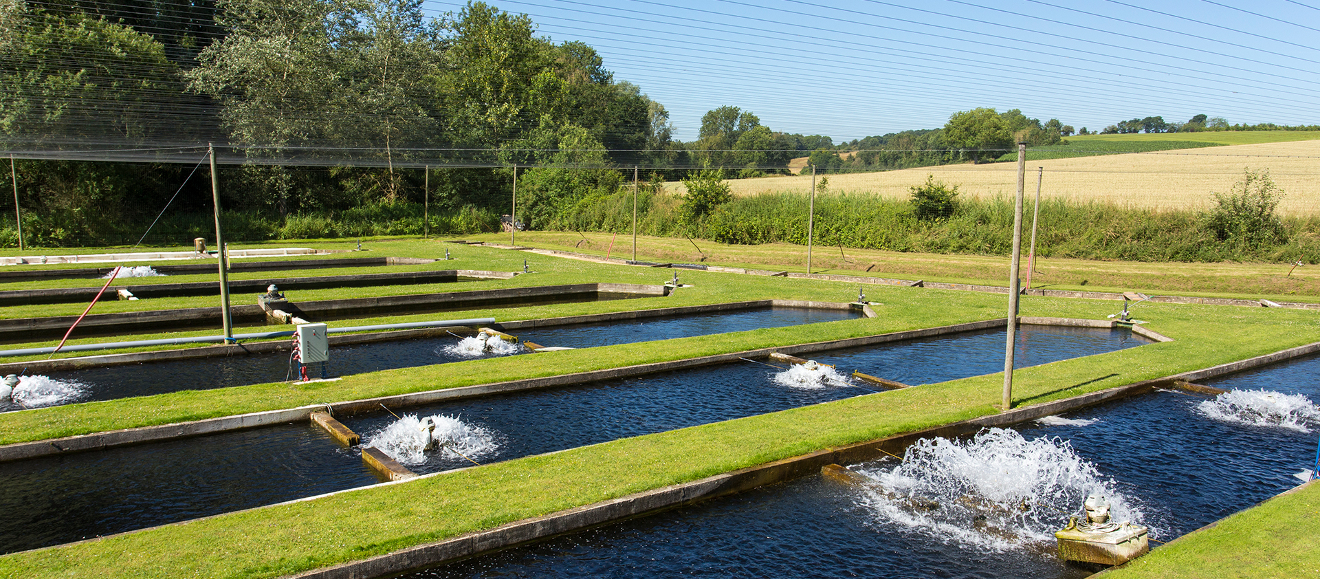Pisciculteurs des Hauts-de-France - Accueil